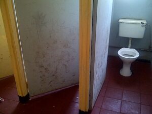 Eldridge Primary School Toilets' - 16 November 2011
