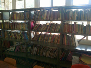 McBain Charles Primary Library - 2013