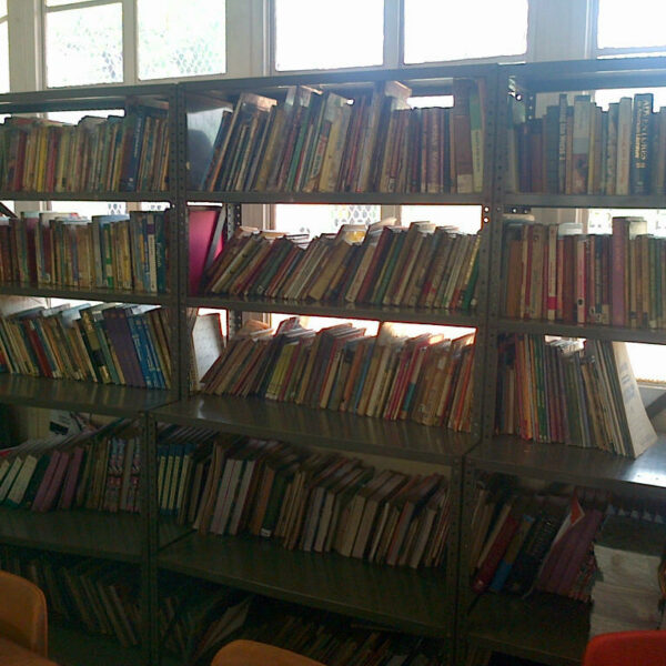 McBain Charles Primary Library - 2013